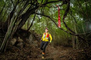 BIB: 
                            <button type="button" onclick="openModal(22178332)" class="btn btn-primary btn-sm float-right btn-popup" data-toggle="modal" data-target=".modal-high-quality">
                        <i class="fas fa-shopping-cart"></i> Add to Cart
                    </button>
                                            <button type="button" onclick="isThisMe(22178332, true)" class="btn btn-success btn-sm float-right btn-popup btn-isme hidden" data-toggle="tooltip" data-placement="bottom" title="นี่คือรูปของคุณใช่ไหม คลิกที่นี่เพื่อเอาเข้าอัลบั้ม">
                        <i class="fas fa-plus"></i> Add to album
                    </button>
                    <button type="button" onclick="isThisMe(22178332, false)" class="btn btn-warning btn-sm float-right btn-popup btn-isnotme hidden">
                        <i class="fas fa-ban"></i> Remove from album
                    </button>